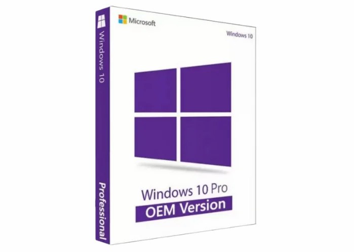 OEM Online Aktivasyon Windows 10 Pro OEM